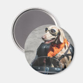 Leichte Fahrer Magnet (Vorderseite/Rückseite)