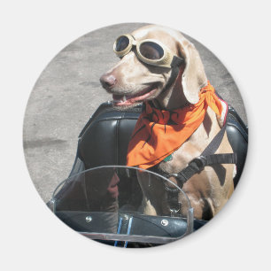 Leichte Fahrer Magnet