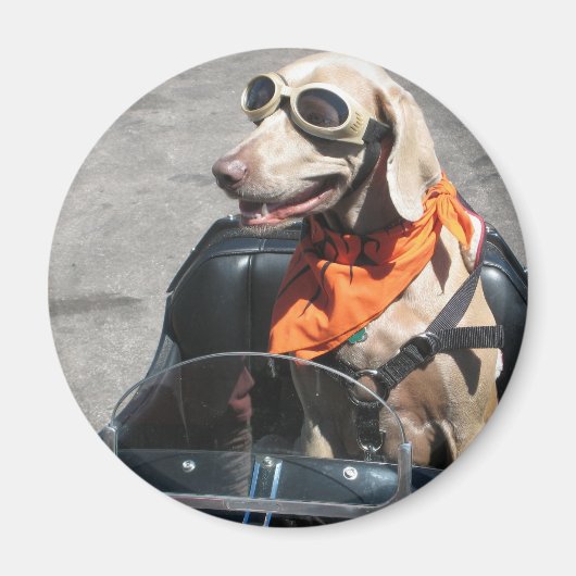 Leichte Fahrer Magnet (Vorne)