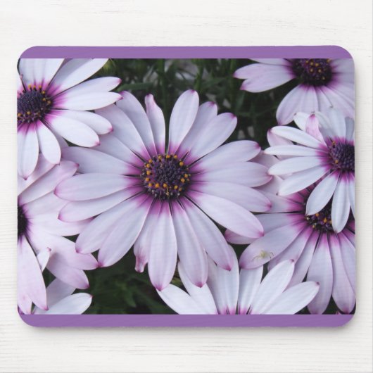 Leichte Lila Petalen mit Lila Hintergrund Mousepad (Vorne)