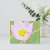 leichte lila TulpenBlume Postkarte (Stehend Vorderseite)