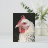 Leichte Postkarte für Sushsex-Hühner (Stehend Vorderseite)