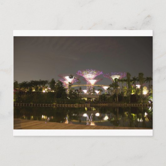 Leichte Superbäume im Garten an der Bucht Postkarte (Vorderseite)