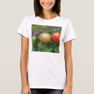Leichte Tomaten - Ladys T Shirt