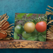 Leichte Tomaten/Paradeiser Fotoplatte (Seite)