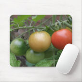 Leichte Tomaten/Paradeiser Mousepad (Mit Mouse)