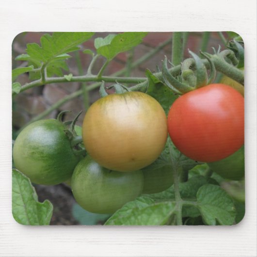 Leichte Tomaten/Paradeiser Mousepad (Vorne)