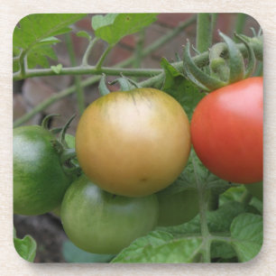 Leichte Tomaten/Paradeiser Untersetzer