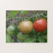 Leichte Tomaten-Puzzle Puzzle (Horizontal)
