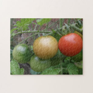 Leichte Tomaten-Puzzle Puzzle