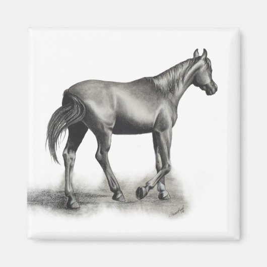 Leichter Nachmittag Magnet (Vorne)