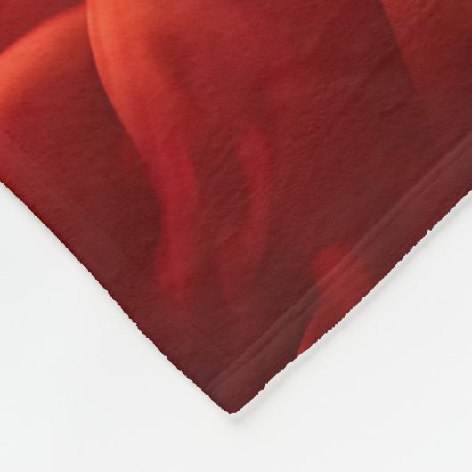 Leichter Regenbogenfarbenrauchwolke schwarzer Hint Fleecedecke (Ecke)