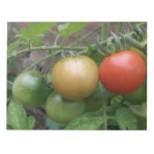 Leichtkartoffeln - Notepad Notizblock (Vorderseite)