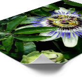 Leidenschaft Blume ~Print~ Poster (Ecke)