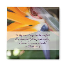 Leidenschaft im Paradies Christliche Gastgeschenk 