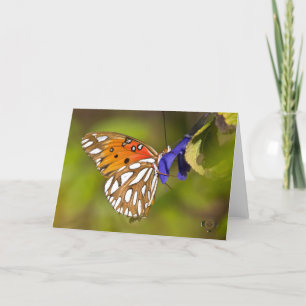Leidenschaft Schmetterling Umarmen Lee Hiller Foto Karte