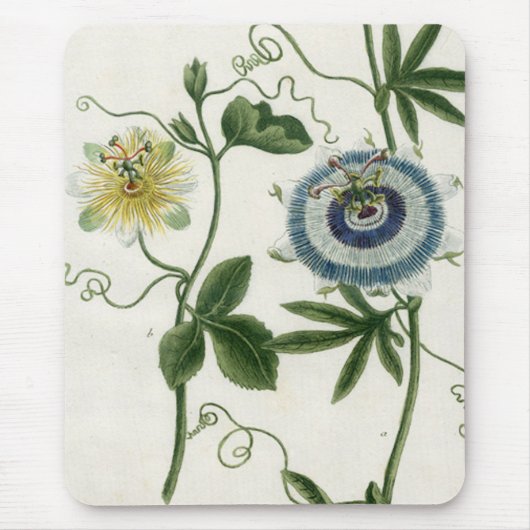 Leidenschafts-Blume Mousepad (Vorne)