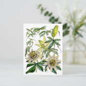 Leidenschafts-Blumen-botanische Illustration Postkarte (Stehend Vorderseite)