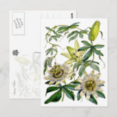 Leidenschafts-Blumen-botanische Illustration Postkarte (Vorne/Hinten)