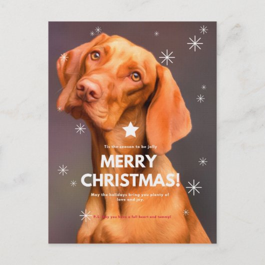 LEIDER CHRISTMAS! POSTKARTE (Vorderseite)