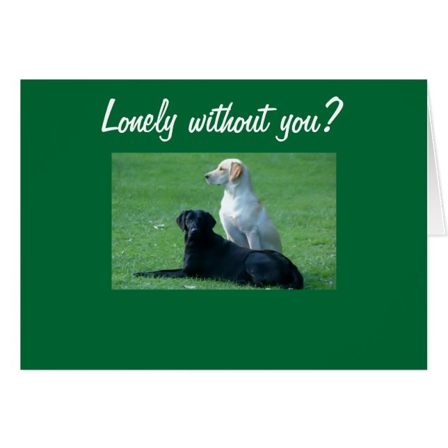 LEIDER WAR DICH? (Vorderseite (Horizontal))