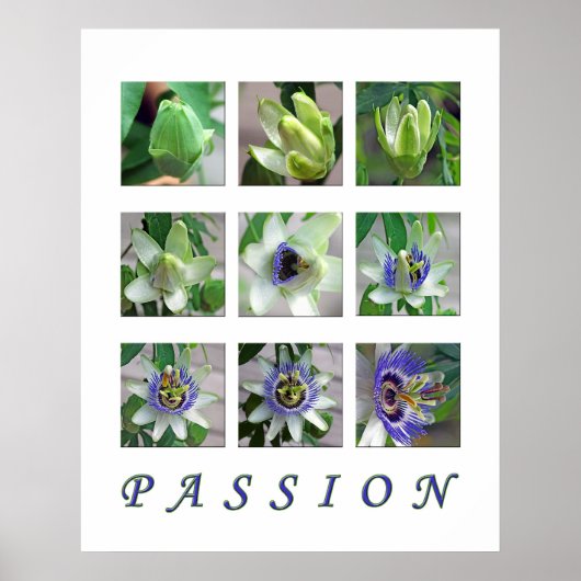 LEIDUNG POSTER (Vorne)