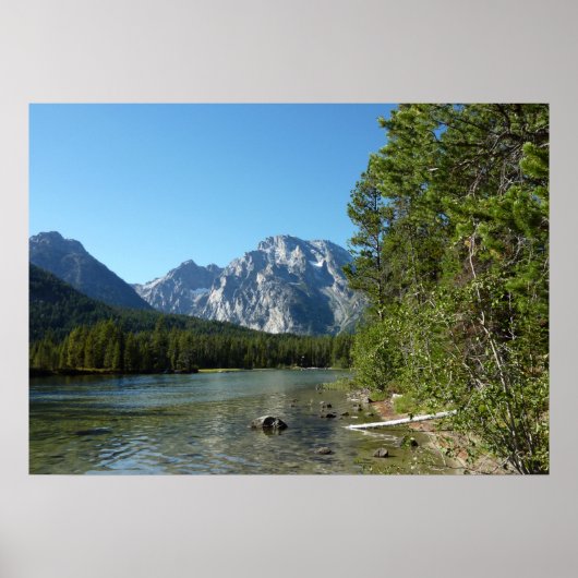 Leigh Lake at Grand Teton Nationalpark Poster (Vorne)