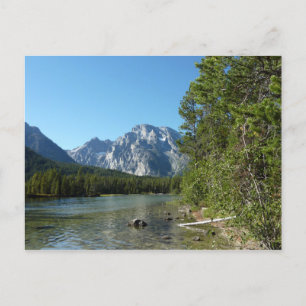 Leigh Lake im Grand-Teton-Nationalpark Postkarte
