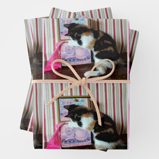 Leilanis Wardrobe - Jedem Anlass Geschenkpapier Set (Beispiel)