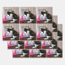 Leilanis Wardrobe - Jedem Anlass Geschenkpapier Set