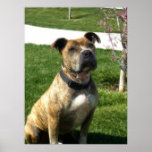 Leinenprint Poster (Vorne)