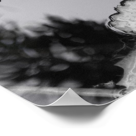 Leinenwasserlilie Poster (Ecke)