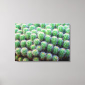 Leinwand (Vorderseite)