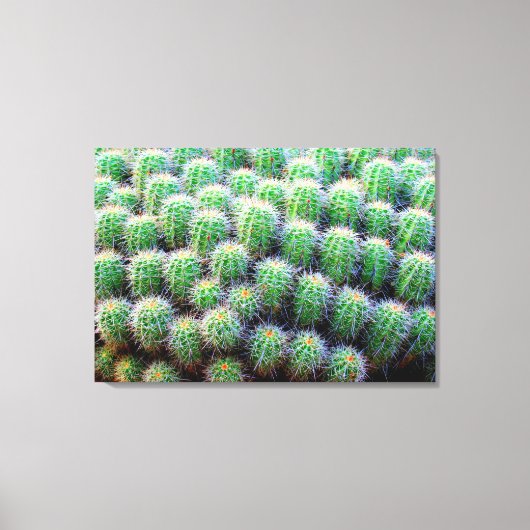 Leinwand (Vorderseite)