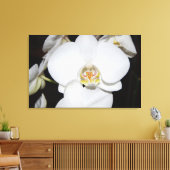 Leinwand (Insitu (Wohnzimmer))