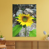 Leinwand (Insitu (Wohnzimmer))