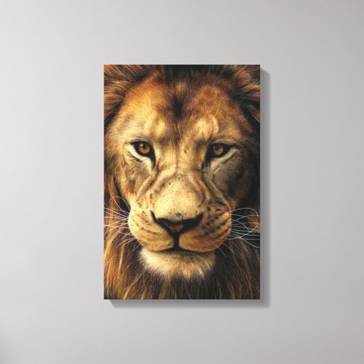 Leinwand (Vorderseite)