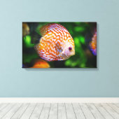 Leinwand (Insitu (Holzboden))