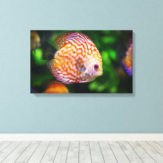 Leinwand (Insitu (Holzboden))