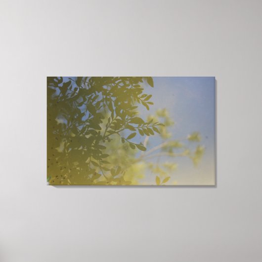 Leinwand (Vorderseite)