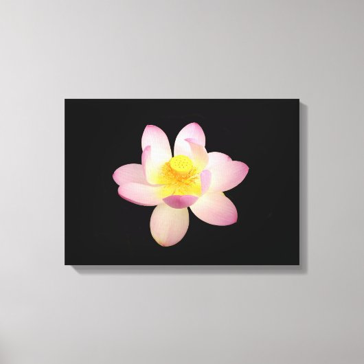 Leinwand (Vorderseite)