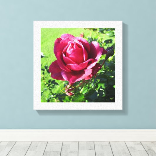 Leinwand (Insitu (Holzboden))