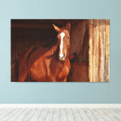 Leinwand (Insitu (Holzboden))