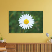 Leinwand (Insitu (Wohnzimmer))