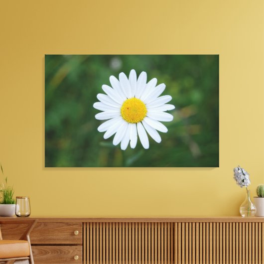 Leinwand (Insitu (Wohnzimmer))