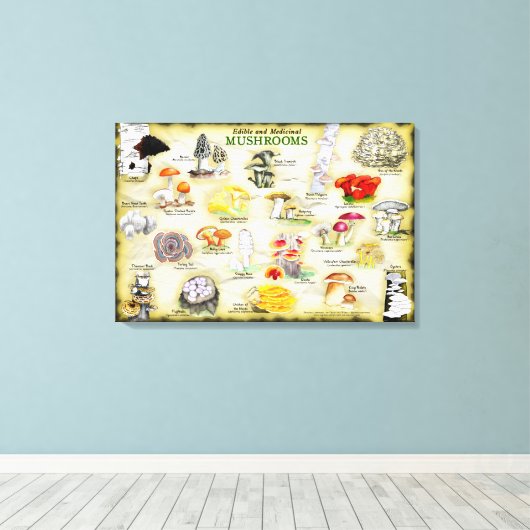 Leinwand 30 x 20 Pilze (Insitu (Holzboden))