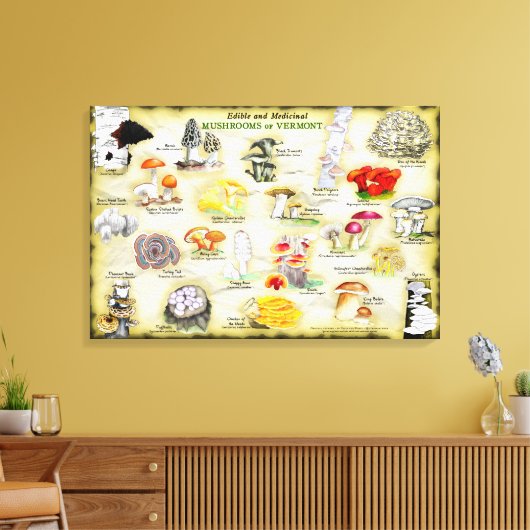 Leinwand 30x20 Pilze aus Vermont (Insitu (Wohnzimmer))