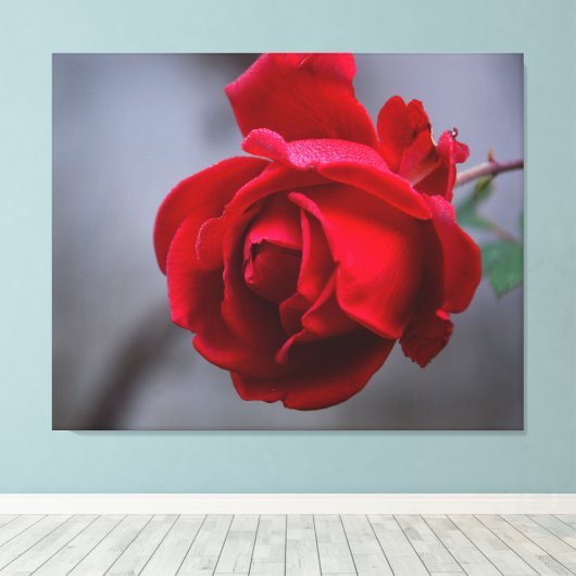 Leinwand an der Wand (Insitu (Holzboden))