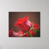 Leinwand an der Wand (Vorderseite)