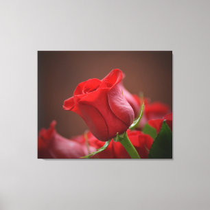 Leinwand an der Wand